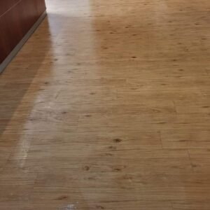 Karndean floor cleaning service Doncaster